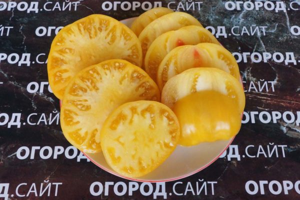 Лучшие сорта желтых и оранжевых томатов: солнце на грядке